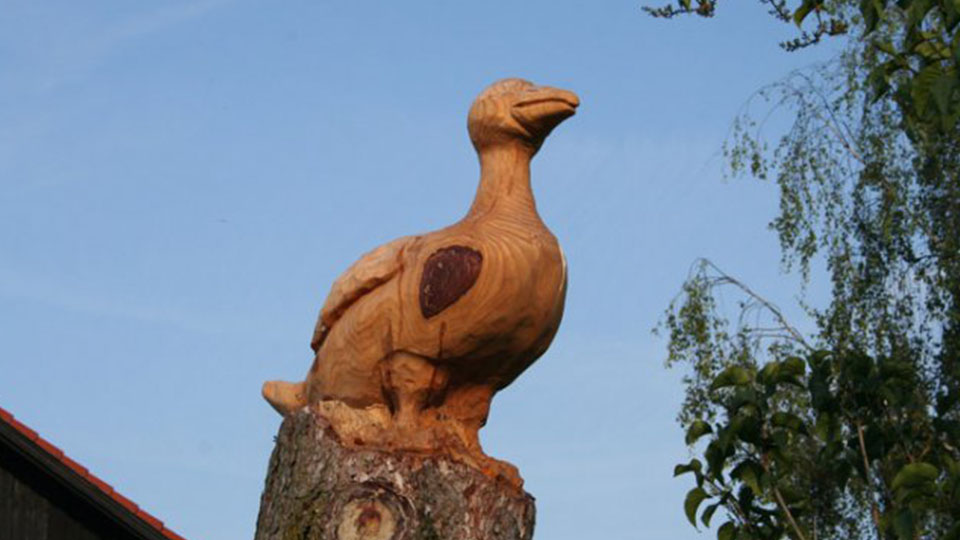 Faq Geflügelhof Müller